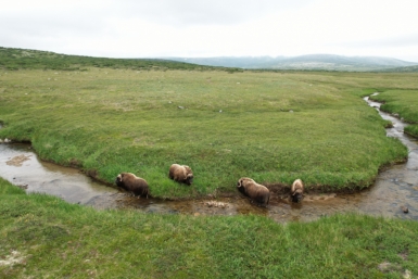 Портал Путешествуем.рф продолжает укреплять позиции Источник