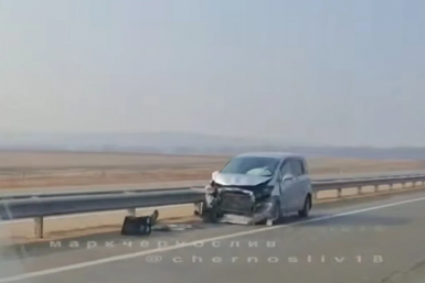 "Какой кошмар": мужик ночью на трассе снес целое стадо коров