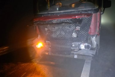 Грузовик сбил стадо коров на трассе в Приморье