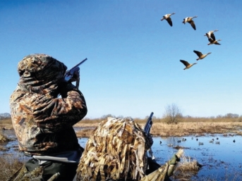 На Колыме с 16 августа начнется охота на водоплавающую и болотно-луговую дичь Источник