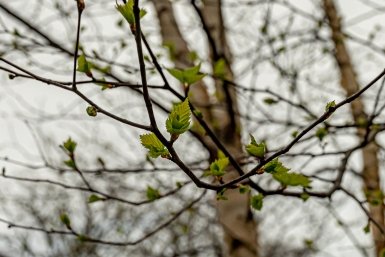 Кубань накроет новой волной тепла после короткого похолодания