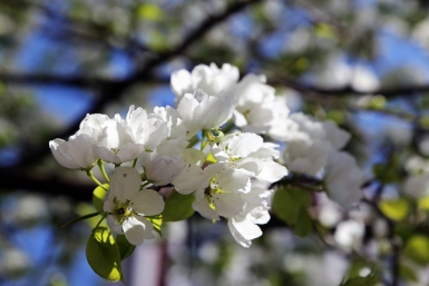 весенняя погода Оленникова Мария, IrkutskMedia