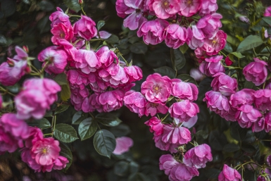 Подмосковье в марте накроет почти летняя погода