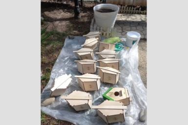 Более 30 домиков для птиц установят к 1 апреля в Ялте