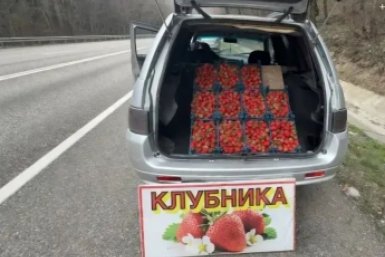 Жителей Кубани предостерегли от покупки опасной клубники на обочинах t.me/glavatuapseregion