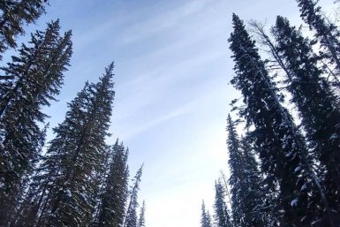 Гороскоп на 24 марта: Рак сохраняет дистанцию, Стрелец планирует ИА YakutiaMedia