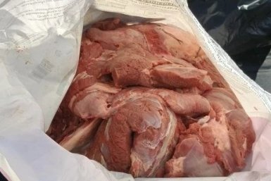 Жителя Подмосковья задержали с оружием и мясом дикого зверя