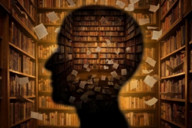 Вы ходячая библиотека, если без ошибок отвечаете на 7/7 вопросов - ТЕСТ по литературе