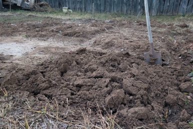 Выполняю работы в саду в апреле по четкому графику — и идеально чистые грядки и здоровые деревья без суеты и переутомления