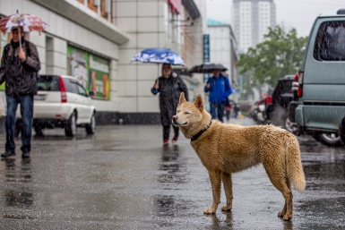 Брызгаю этим юбку, брюки, детскую одежду и грязь не прилипает