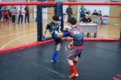 Бурятия — вторая в ДФО по ММА Минспорт Бурятии