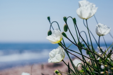 Сухо, ветрено, тепло: весенняя погода без осадков сохраняется в Приморье