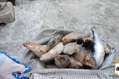 Свыше 2,7 тысячи хвостов байкальской рыбы выявили полицейские в Приангарье