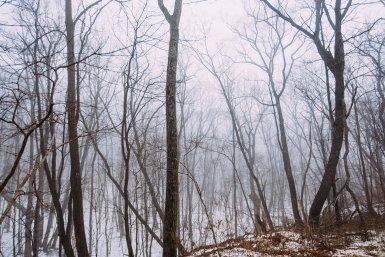 Тематическое фото ИА PrimaMedia.ru