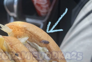 "Фу, какая жесть": приморец едва не пообедал бургером с личинкой в местном кафе - фото