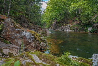 Заказнику с росомахой и тайменем в Бурятии исполнилось полвека