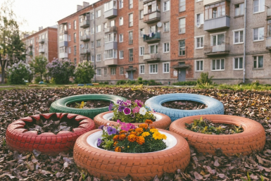 Клумба во дворе дома может обойтись россиянам в 5 000 рублей — за цветы без согласия соседей начнут штрафовать