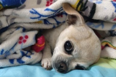 20 улиц и 7 соцобъектов остались без тепла и горячей воды в Кисловодске