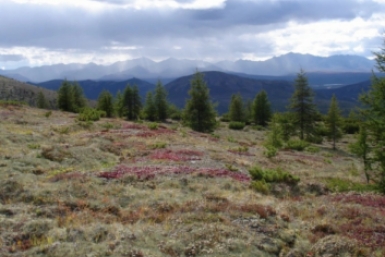 Природа Елена Хаменкова