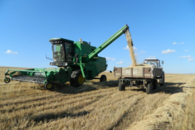 Поле Правительство Забайкалья