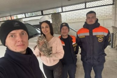 Кошка застряла в бытовом приборе в Предгорном округе