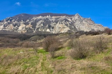 Организатор экоакции заплатит штраф за загрязнении природы на Ставрополье