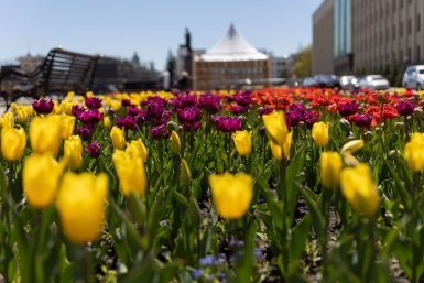 После холодного марта нас ждут долгожданные +20°C - свежий прогноз на апрель