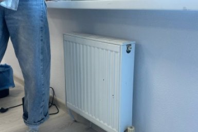 Новость дня