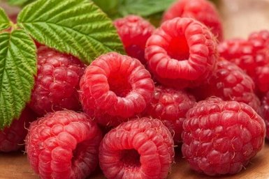 Как выбрать крупную малину? 5 сортов по Госреестру