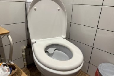 2 ложки в унитаз на ночь, и он сияет как на праздник - вантуз пылится год