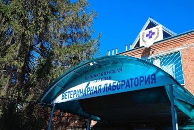 Юрий Бурлачко поддержал расширение мер поддержки для ветеринарной службы Кубани