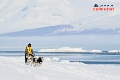 Новость дня