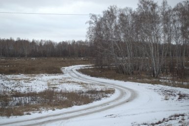 Участок леса с дорогой Евгений Овдеенко, ИА OmskMedia