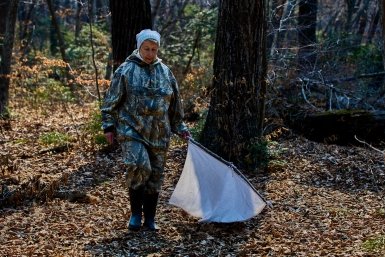 Новость дня