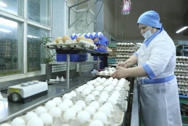 Птицефабрика &quotПионерское&quot Законодательное собрание Камчатского края