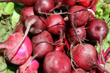 1 ложка на 10 л — и свекла вымахает божественно сладкой, крупной и бордовой: для борща, в закатки и салаты