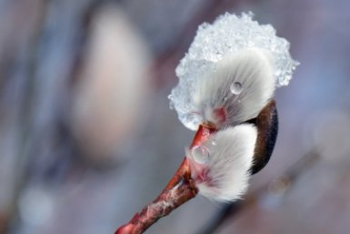 Движение вперед или застой: почувствовать, что ждет в апреле, поможет гадание по картинке