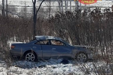 Toyota Mark 2 с водителем и четырьмя пассажирами слетела с дороги Госавтоинспекция Амурской области