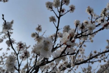 В Краснодарском крае потеплеет до +18