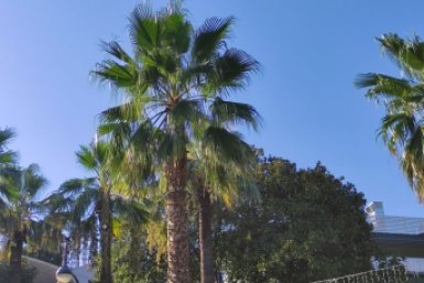 Отельеры Крыма назвали способ сохранить турпоток на фоне конкуренции с Сочи