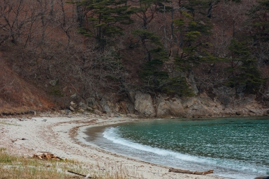 "Один совсем, испугался": одинокого малыша нашли на пляже в Приморье