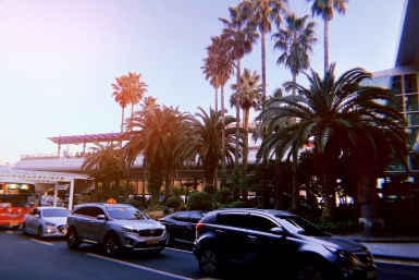 "Доллар решит всё": как российская блогерша столкнулась с кубинским сервисом