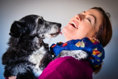 Любит или моет: зачем собака лижет человека - переводим с их языка