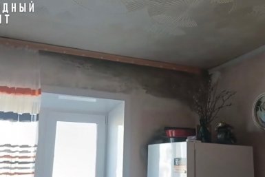 Плесень в квартире Народный Фронт Забайкалья