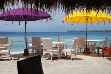 Россиянка попала в больницу после того, как потрогала гусеницу на Бали