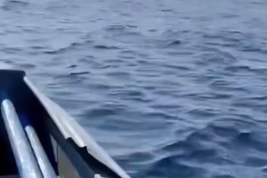 "Тело всплыло": трагедия в море в Приморье потрясла людей – кадры