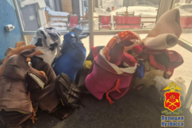 Незаконный мигрант прятался в костюме коня и обижал туристов на курорте пресс-служба полиции Кемеровской области