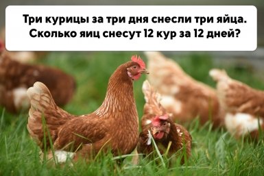 Решите пример за 7 класс в уме, или уже слишком сложно? – тест