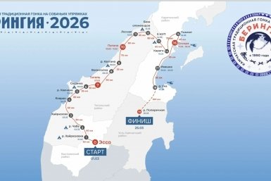 Из-за тёплой весны на Камчатке гонку"Берингия-2026" завершили раньше