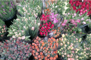 6038493.png?dd5f0697d3e72da8d013c301fb66e09c